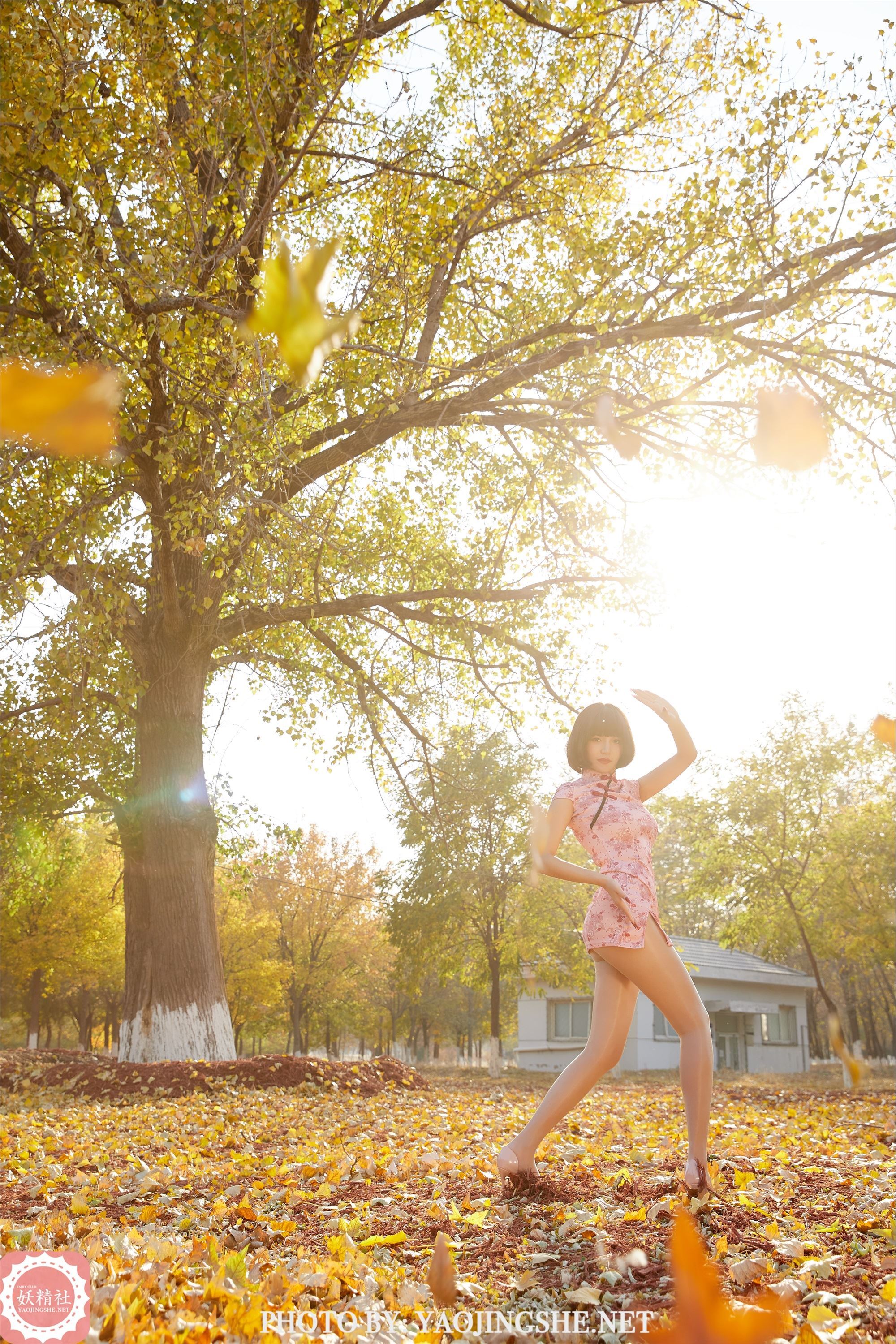 妖精社  2021.01.24 T2103《太极小宗师》唐飞飞